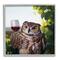 Stupell Industries Great Horned Owl Drinking Wine Gray Framed Wall Art